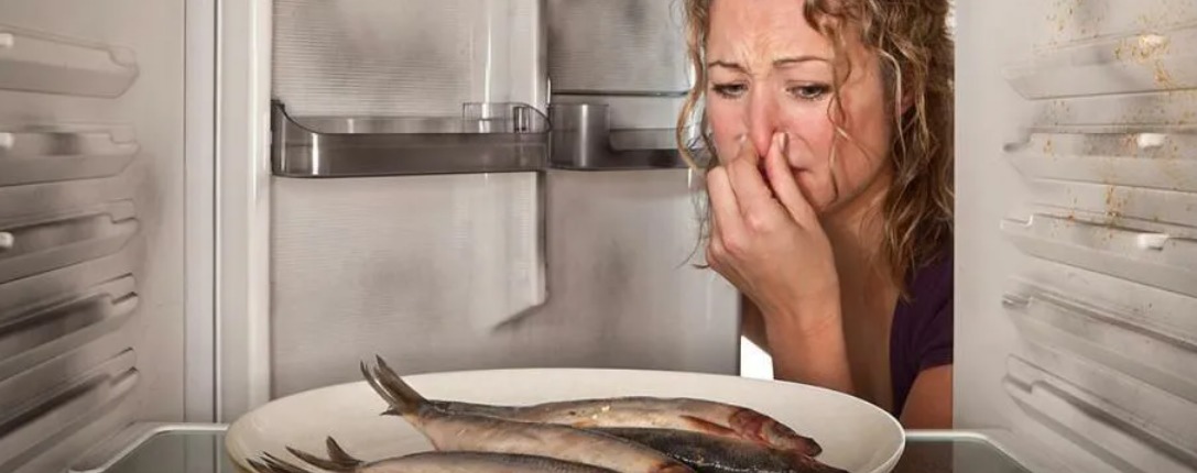 Неприятный возникновение. Запах рыбы из холодильника. Фото человека от запаха рыбы. Как убрать запах рыбы с дома. Как убрать запах с соленой рыбы с душком в домашних условиях.