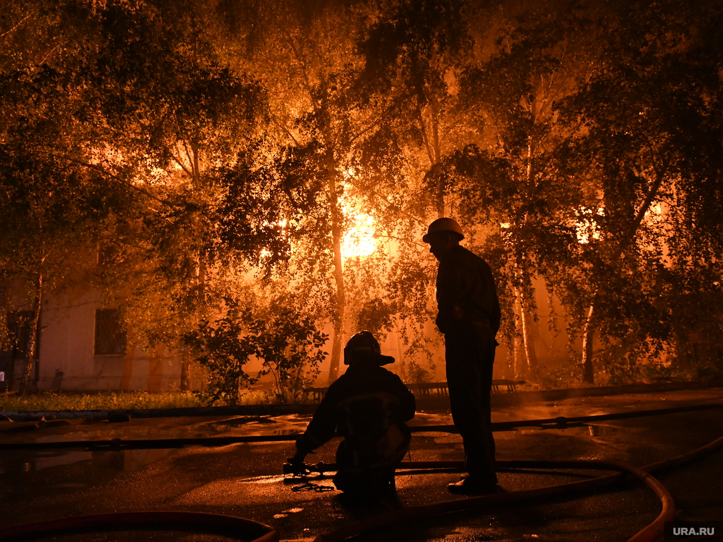 Люби меня люби жарким огнём ночью. Люби меня люби ярким огнем ночью. Люби меня люби жарким огнем текст. Люби меня люби ярким огнем ночью. Люби меня люби.